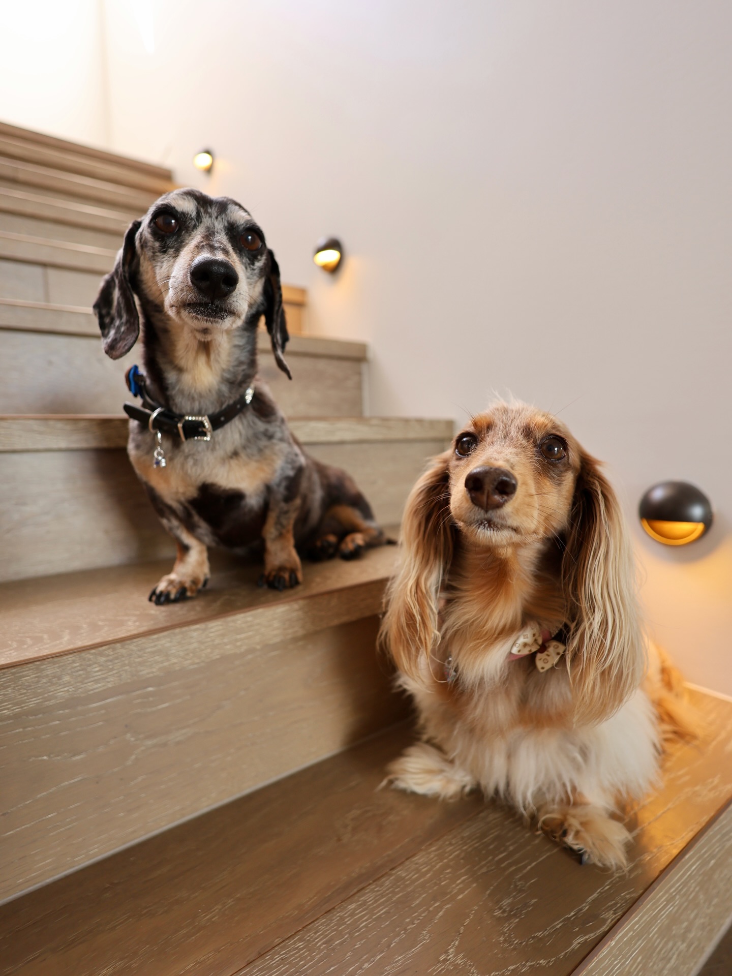 Here to do your next lighting project as long as it’s only a couple of inches off the ground #electricians&hellip;