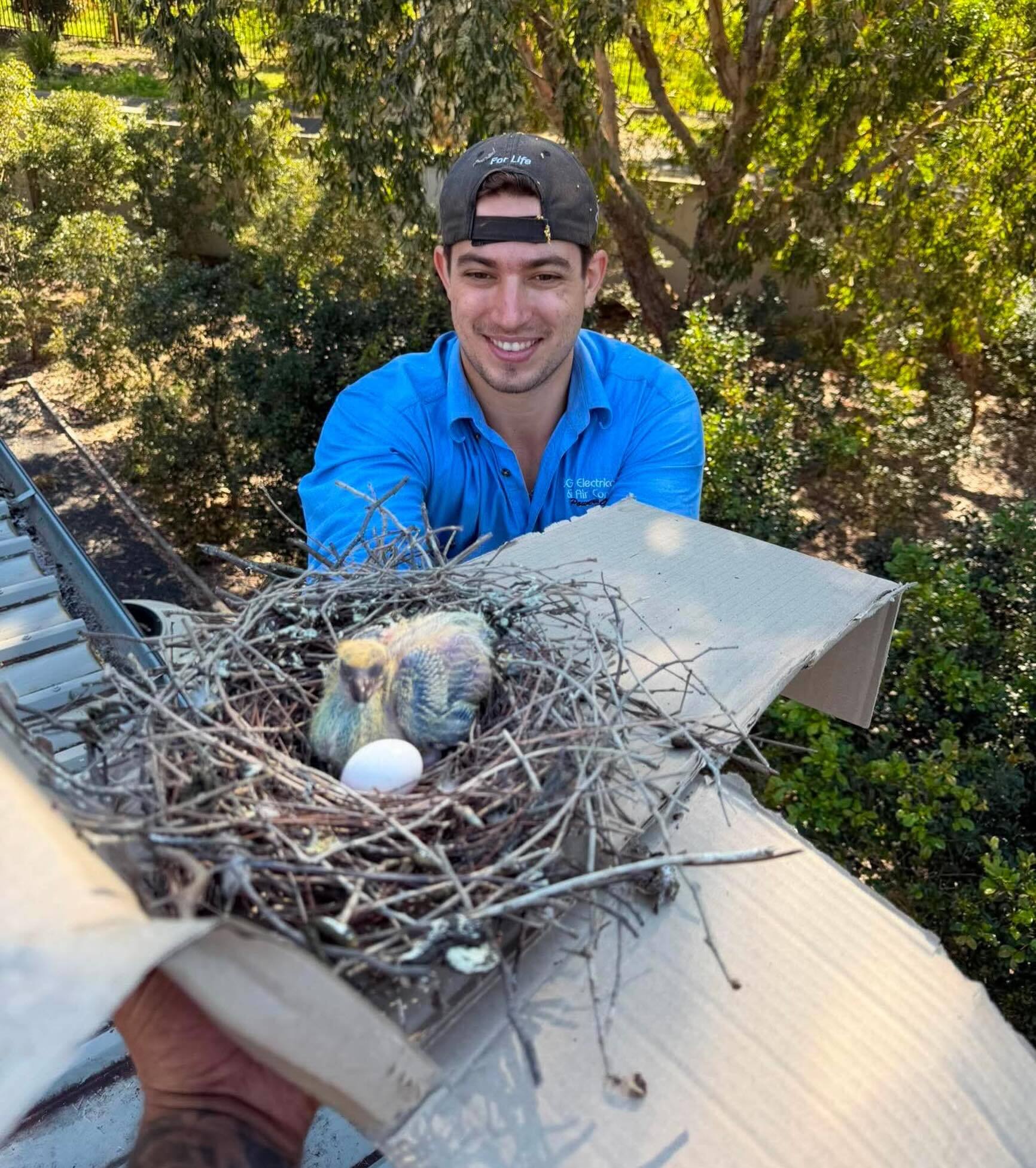 Saving birds one job at a time Josh and Nathan taking extra care with this unexpected find under some solar&hellip;