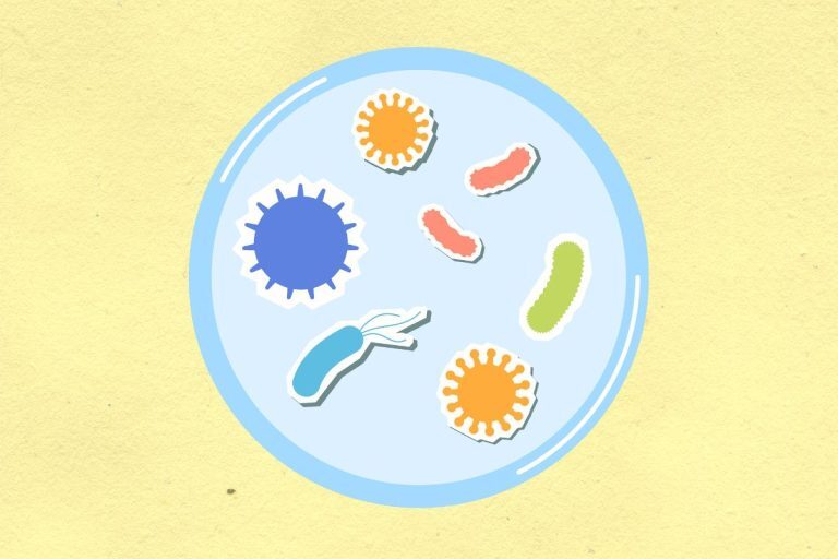 Most Common Air Conditioner Germs